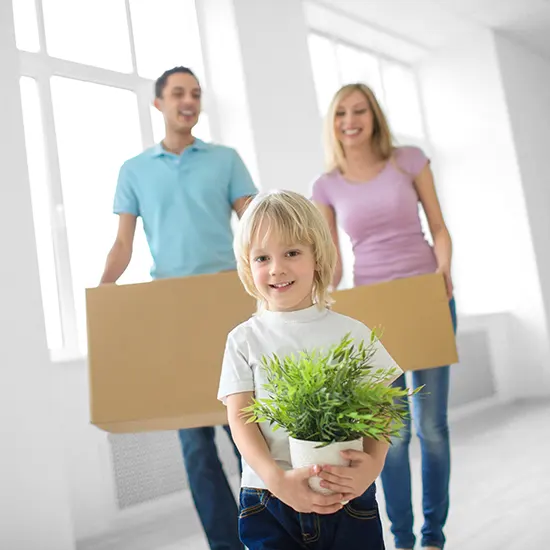 Umzug nach England Preisvergleich